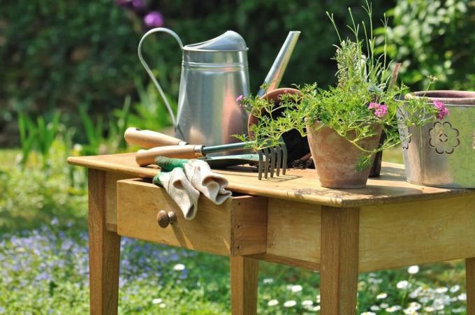 Useful tips for beginners gardening or spring in the garden
