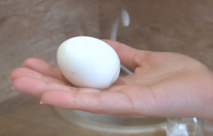 Everyone wants to eat an egg a perfect Gorny! / Photo Source: youtube.com/channel/UCagplR5T275T6em4AQOYNbQ