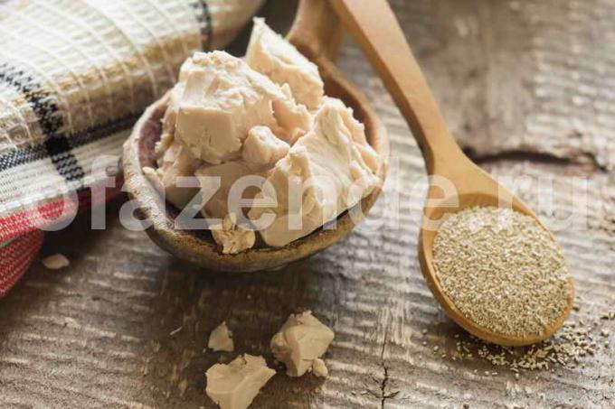 Preparation of feeding yeast. Illustration for an article is used for a standard license © ofazende.ru