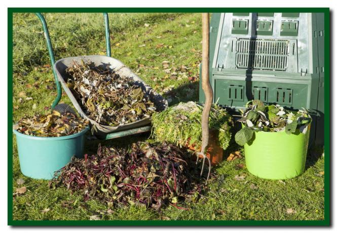 The ABCs of Successful Gardener ~ Compost from "A" to "Z"