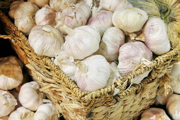 How do I manage to keep garlic fresh, fragrant and strong until next summer