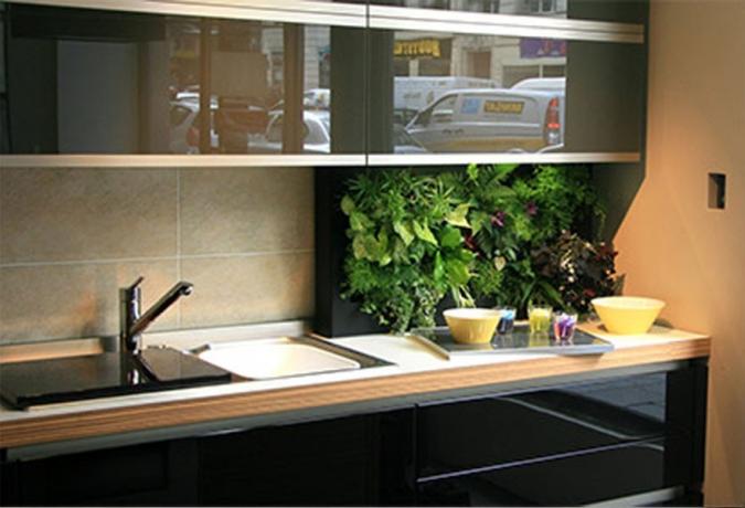 Greens in the kitchen - fresh ideas for using home plants