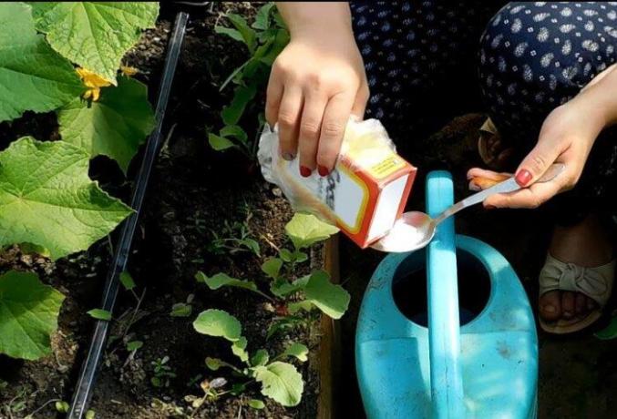 6, non-standard ways to use baking soda in the home itself to the joy