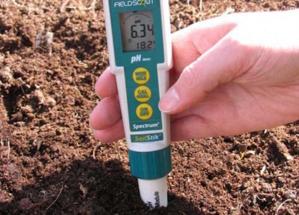 How to find out the soil acidity at home