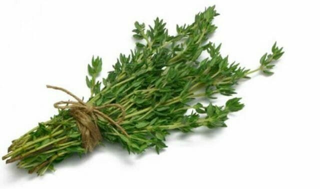 caraway thyme