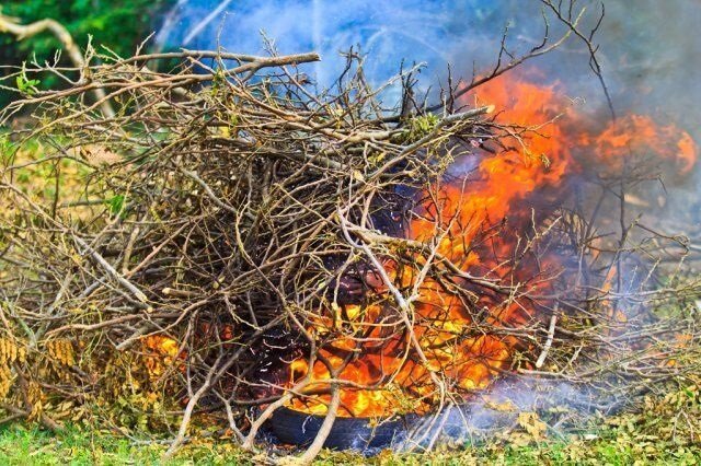 How to burn trash at his dacha and not "get" on the payment of the fine. My simple way