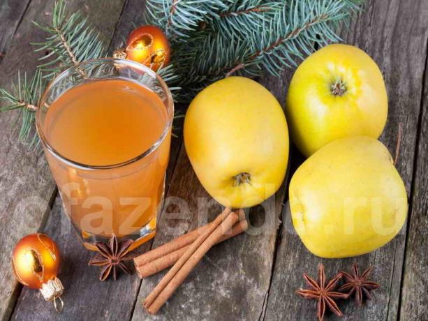 Useful drink in the form of juices like both adults and children © ofazende.ru