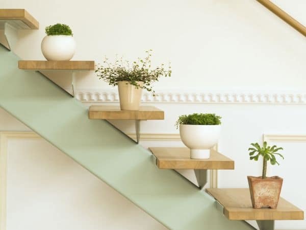 Photo example of wall shelves