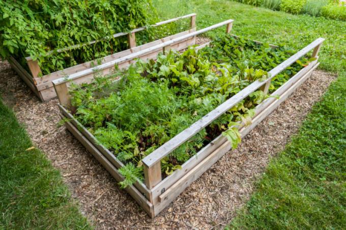 Cons high beds, which should know gardeners