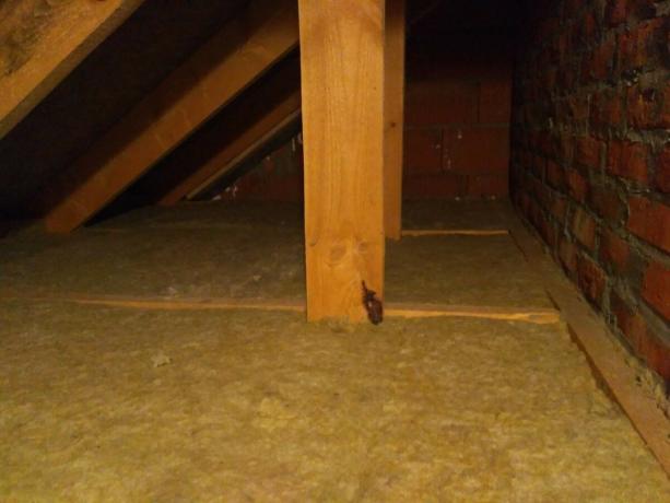 How to make the insulation of the attic from inside the house? It is difficult, but possible! My experience.