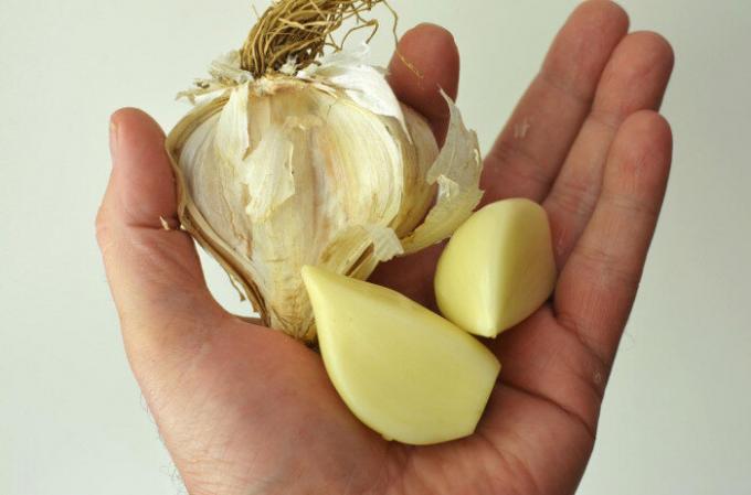 Garlic helps not only against evil forces. / Photo: 3.bp.blogspot.com