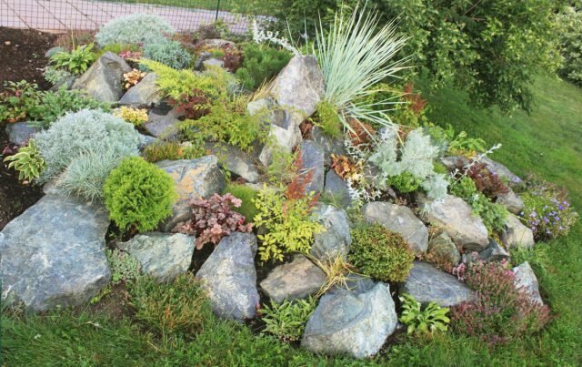 Alpine hill: a step by step description of how to make a rock garden with his own hands