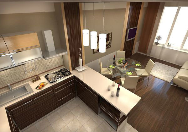 combination of kitchen and living room