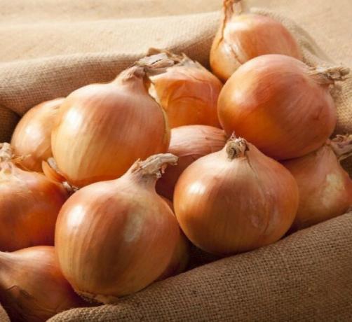 onions Strigunovsky