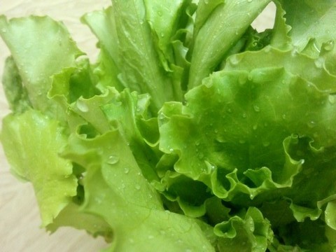 Before you store the salad in the refrigerator, be sure to make sure that even the smallest drop of water does not remain on it.