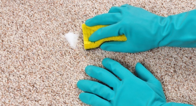 Get rid of carpet stains