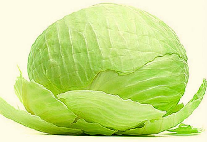 Cabbage is juicy until the spring