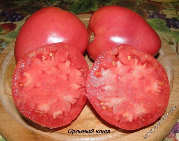 Photo from Tomato Tomato