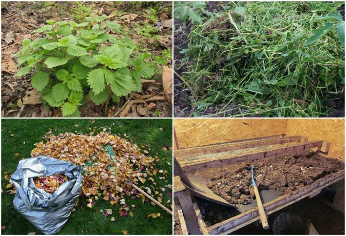 How to make compost in the fall, so much so that to use it even for planting in spring (Cool fertilizer in just 3 months!)