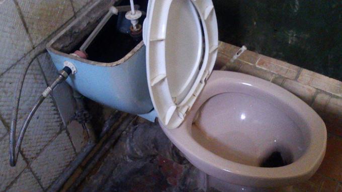 Soviet toilet: senseless and merciless?