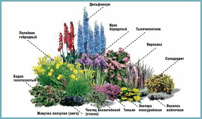 Example of the beds of perennials. Illustration for this article is taken from public sources