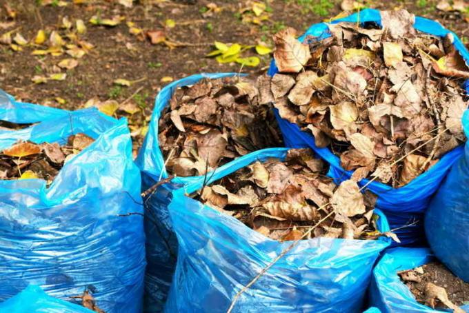 Compost in bags of fallen leaves. Illustration for an article is used for a standard license © ofazende.ru