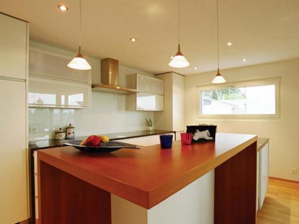 Sleek shades for incandescent lamps in combination with recessed raster lights