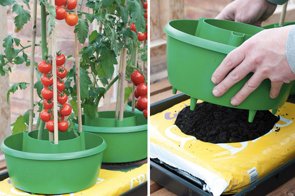 A photo: https://www.harrodhorticultural.com/cache/product/615/615/tomato-plant-halos-3-2019117171.jpg