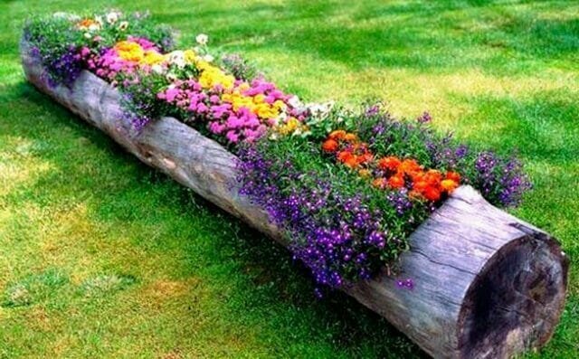 Garden beds: annuals instead glades - advice to gardeners