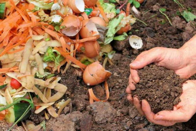 Eggshell - an indispensable product for the preparation of high-quality compost