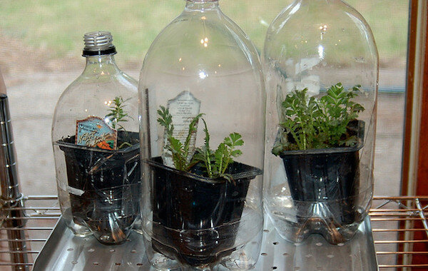 A photo: http://www.agfoundation.org/images/uploads/_660w/greenhouse_bottles.jpg