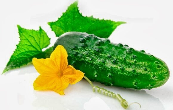 Useful properties of cucumber, which few people realize