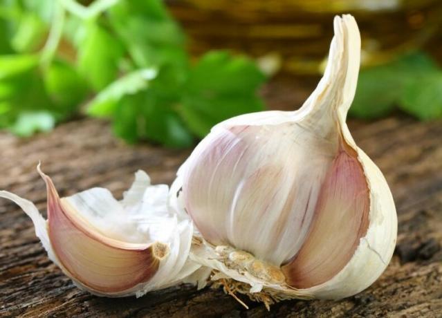 What will happen to the body, if every day to eat a clove of garlic