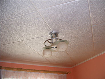 What are the ceilings in the kitchen: variety of options