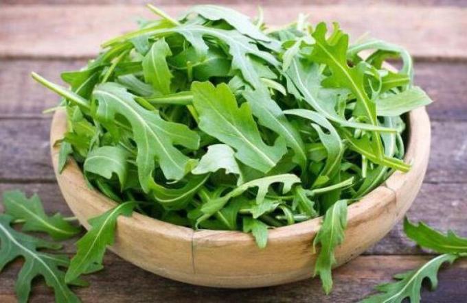 Rucola. What are its benefits and why is it so popular