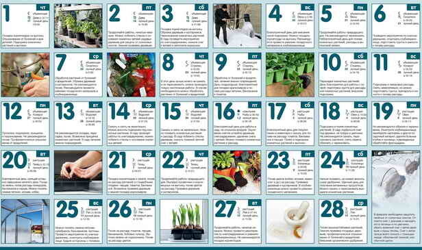 Calendar gardener