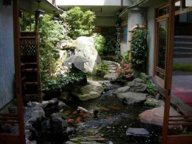 A water garden in the courtyard: Tips gardeners