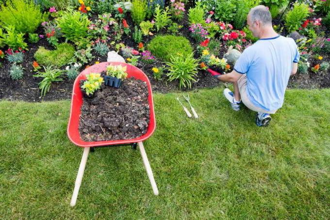 6 major mistakes in the design of flower beds