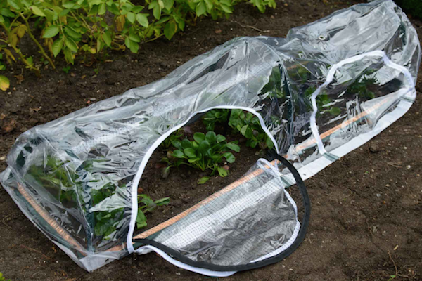 A photo: https://www.harrodhorticultural.com/cache/product/615/615/popadome-crop-protection-tunnel-1-8m-x-0-6m-4-2019114141.jpg
