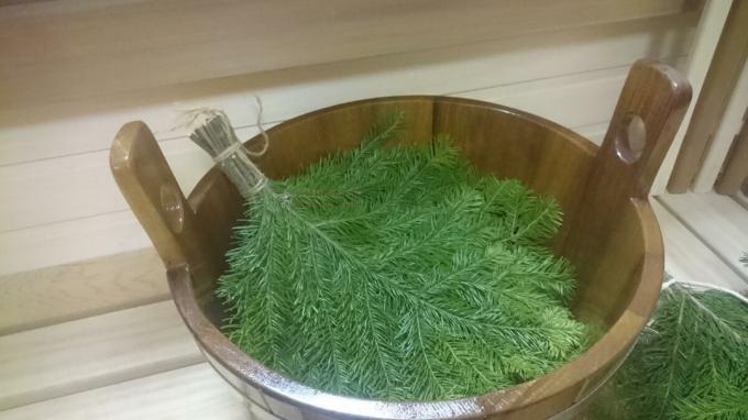 What are the benefits of juniper broom: How to prepare a broom?