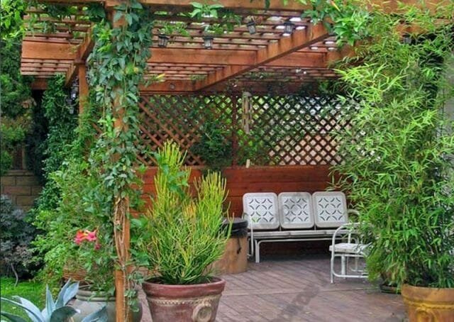Courtyard - shelter from prying eyes: Tips gardeners