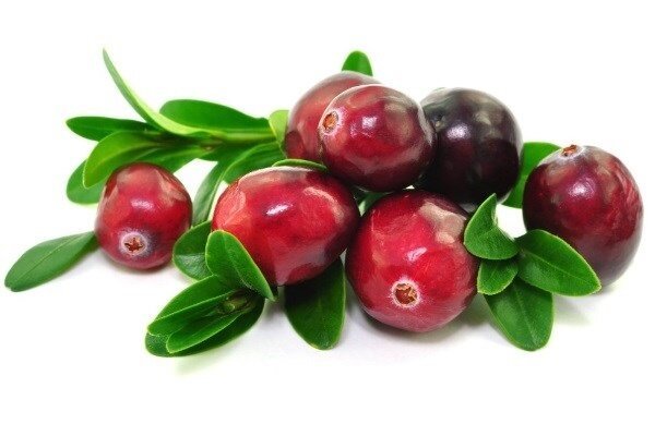 The cranberry is useful and why her strong demand in the Americas