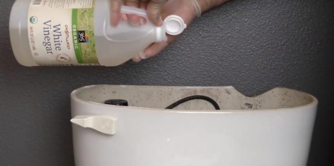 Fill the vinegar in the toilet to kill all bacteria. 