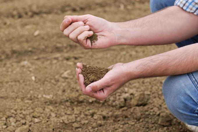 soil analysis. Illustration for an article is used for a standard license © ofazende.ru