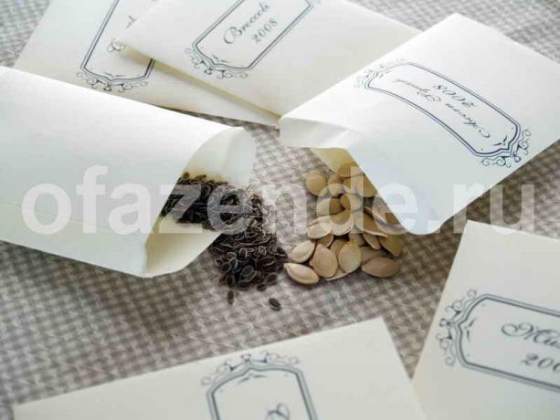 Vegetable seeds. Illustration for an article is used for a standard license © ofazende.ru