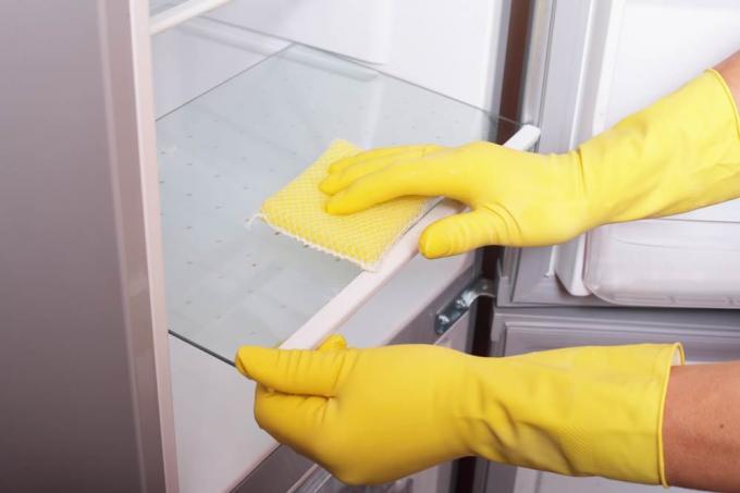 How to clean the refrigerator inside and outside from yellowness, mold, stickers and grease: video and photo