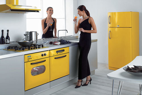 Built-in household appliances in the kitchen