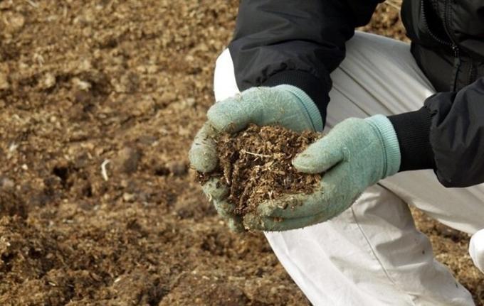 Why do gardeners refuse application of manure on his land