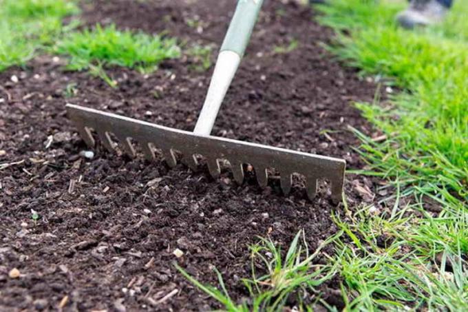 To deepen the use of seeds of garden tools in the form of rake. In this case, the mulch can become a peat. Shelter insulate planting, protect against leaching spring.