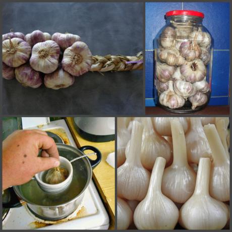7 Proven Ways to save for a long time fresh garlic, juicy and fragrant